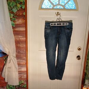 Classic Indigo Men's Skinny Jeans RL35